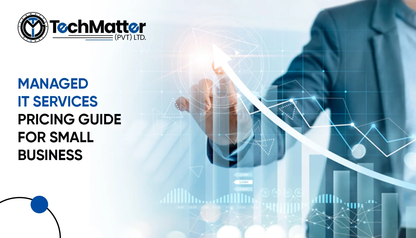Managed IT Services Pricing Guide for Small Business - TechMatter